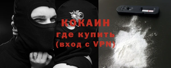 шишки Покров