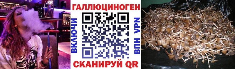 Галлюциногенные грибы Magic Shrooms Шарыпово